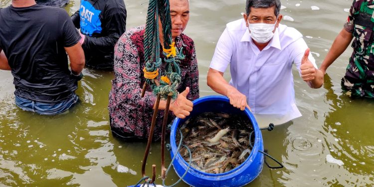Dengan Udang, Mencetak Kampung-kampung “Petro Dollar”