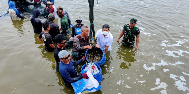 Bisnis Udang, Makmurnya Rame-rame, Ini Tipsnya