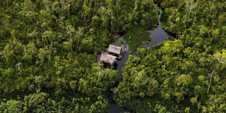 Berawal dari Video Acehtourismtravel, Fauzi Baadilla Kepincut Dengan Panorama Rawa Singkil
