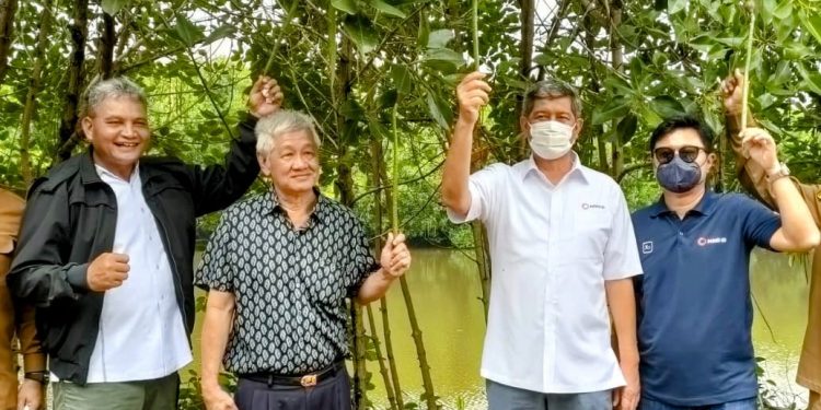 Doni Monardo Dapat Ilmu Baru Nanam Mangrove