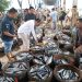 Kepala DKP Aceh Pantau Harga Ikan di PPS Kutaraja