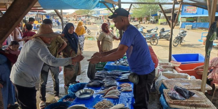 Harga Masih Stabil, Pedagang Mengaku Kekurangan Ikan