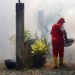4 Pasien Terpapar DBD, Dinkes Banda Aceh Lakukan Pengasapan