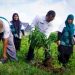 Peringatan Hari Desa Nasional 2025, Apel Bersama Sekaligus Pencanangan Gema Tandan Desa