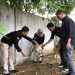 Panwaslih Kota Banda Aceh Tanam Pohon Integritas dan Apresiasi untuk Pengawas Adhoc