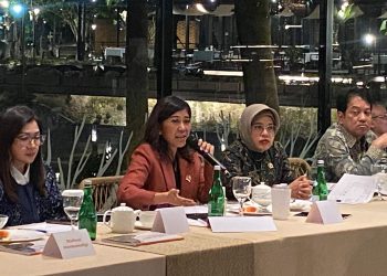 Kemkomdigi dan BPS Dorong Masyarakat Cerdas Berbasis Data