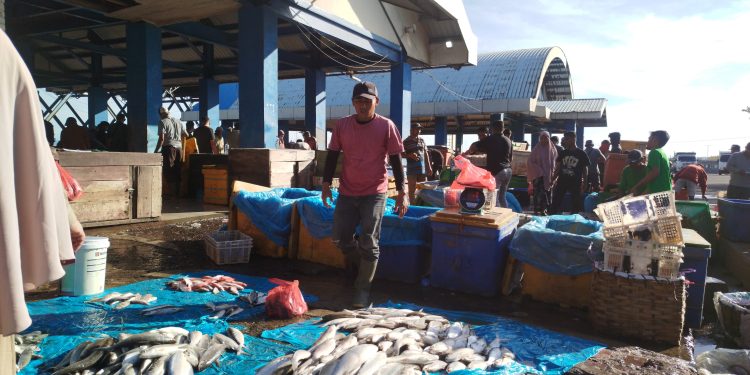 Tangkapan Ikan Berkurang, Harga Ikan di TPI Lampulo Alami Lonjakan