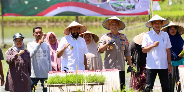 Gubernur Mualem: LTT Aceh Meningkat Berkat Bantuan Oplah dari Presiden