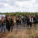 Peringati Hari Bumi, Prodi Ilmu Tanah USK Tanam 100 Mangrove