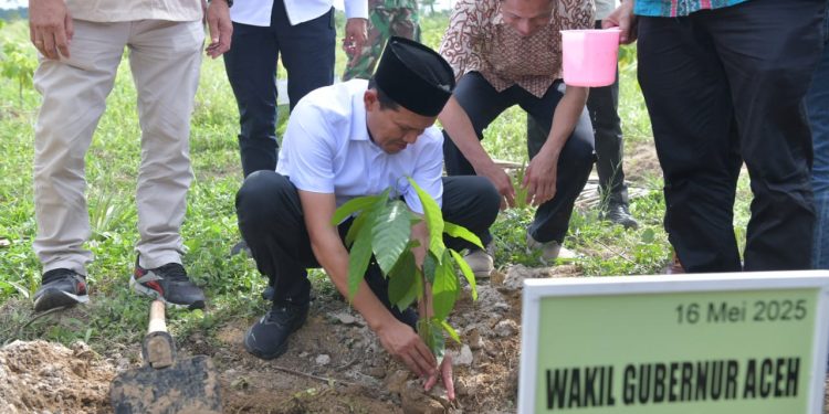 Wagub Fadhlullah Resmikan Pusat Pelatihan Budidaya Bibit Kakao Unggul di Aceh Timur