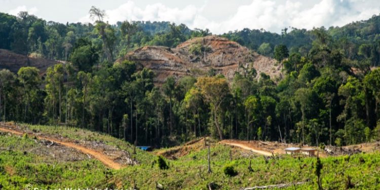 Suara dari Tapak Desak Revisi UU Kehutanan, Pemerintah Diminta Tinggalkan Paradigma Kolonial