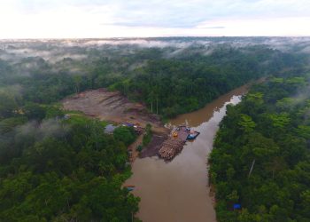Suara dari Tapak Desak Revisi UU Kehutanan, Pemerintah Diminta Tinggalkan Paradigma Kolonial