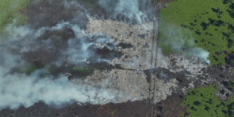 HAkA Temukan 72 Ha Hutan Aceh Selatan Terbakar di Kawasan PT ALIS