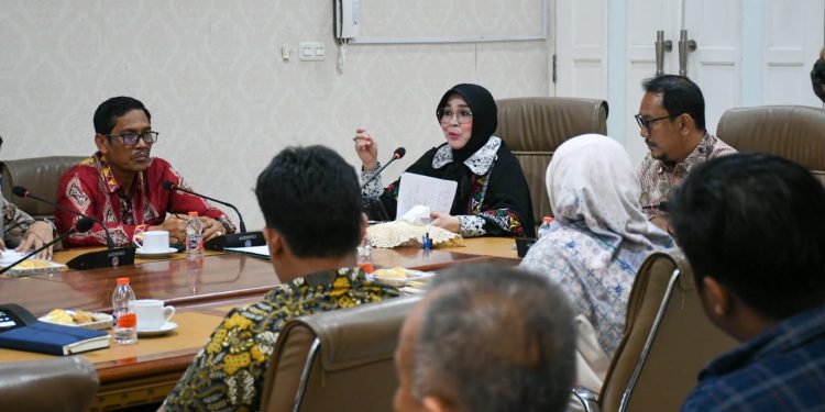 Illiza Terima Audiensi Unicef, Bahas Inovasi Penanggulangan Rokok bagi Remaja