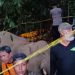 Gajah Jantan Mati Diduga Minum Racun Rumput di Ladang Warga Peunaron, Aceh Timur