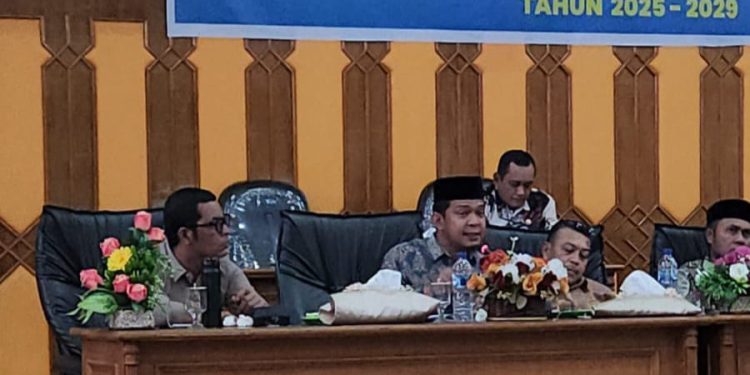 Soal RPJMD Aceh Selatan, Hadi Surya: Jangan Sampai Jadi Angka Manis di Atas Kertas