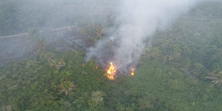 BPBD Aceh Barat Tangani 7 Desa Terdampak Karhutla